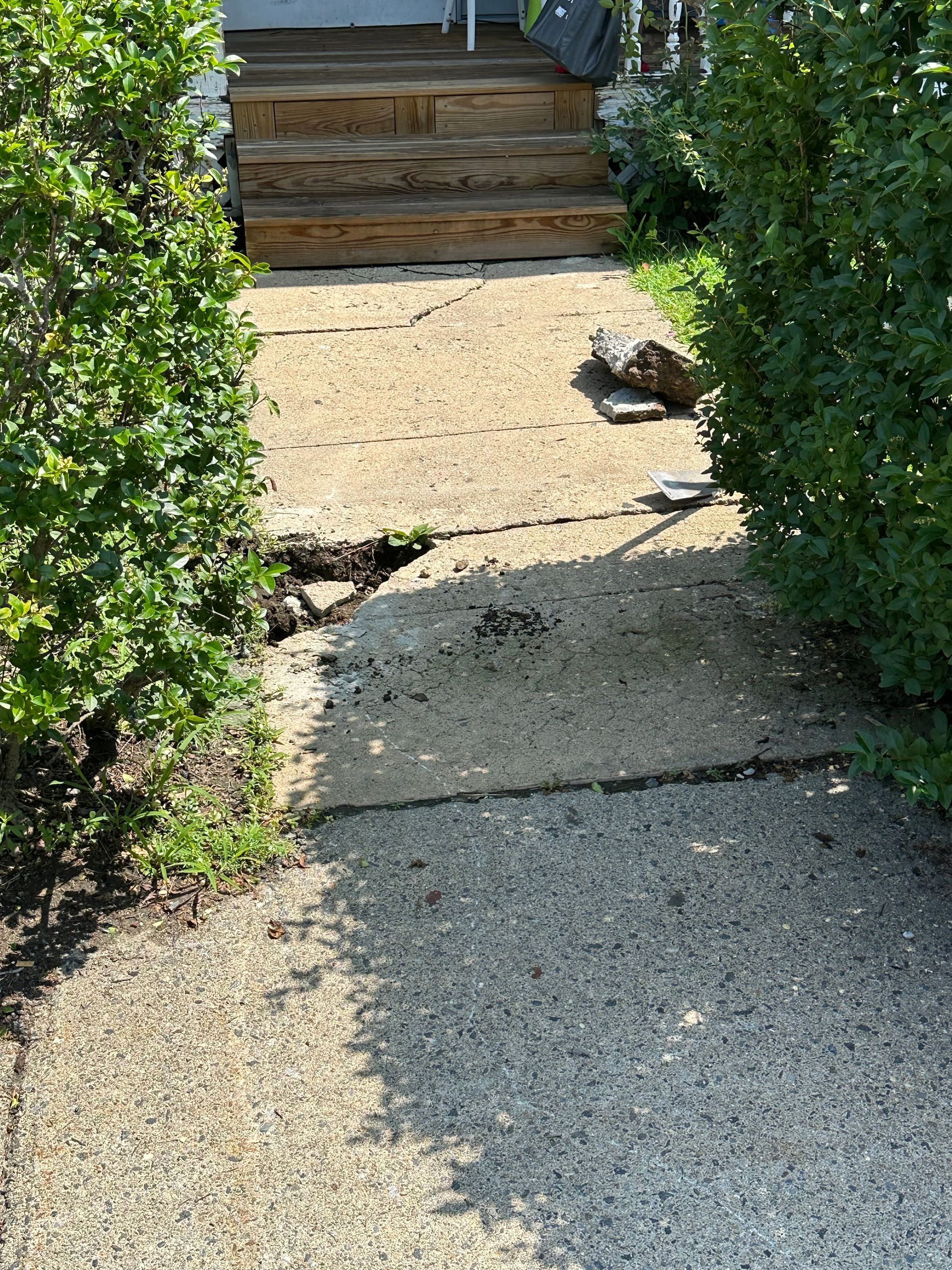 Cracked concrete path leading to wooden steps between green hedges, with a small rock on the right.
