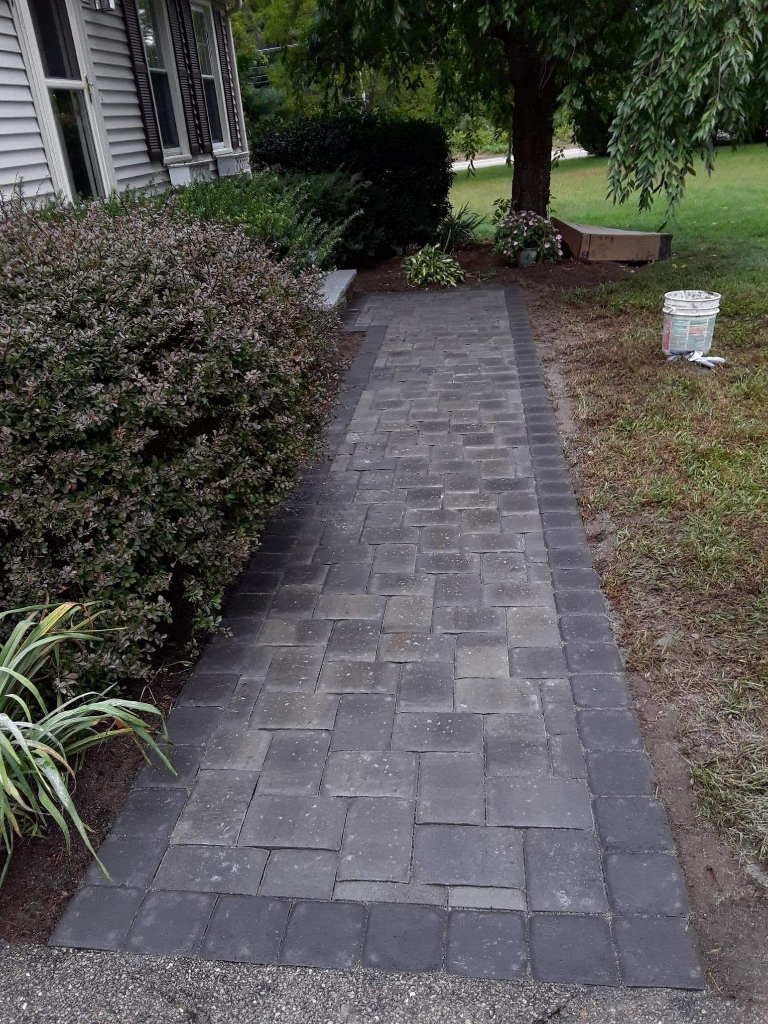Brick paver walkway leading past shrubs beside a house in a front yard