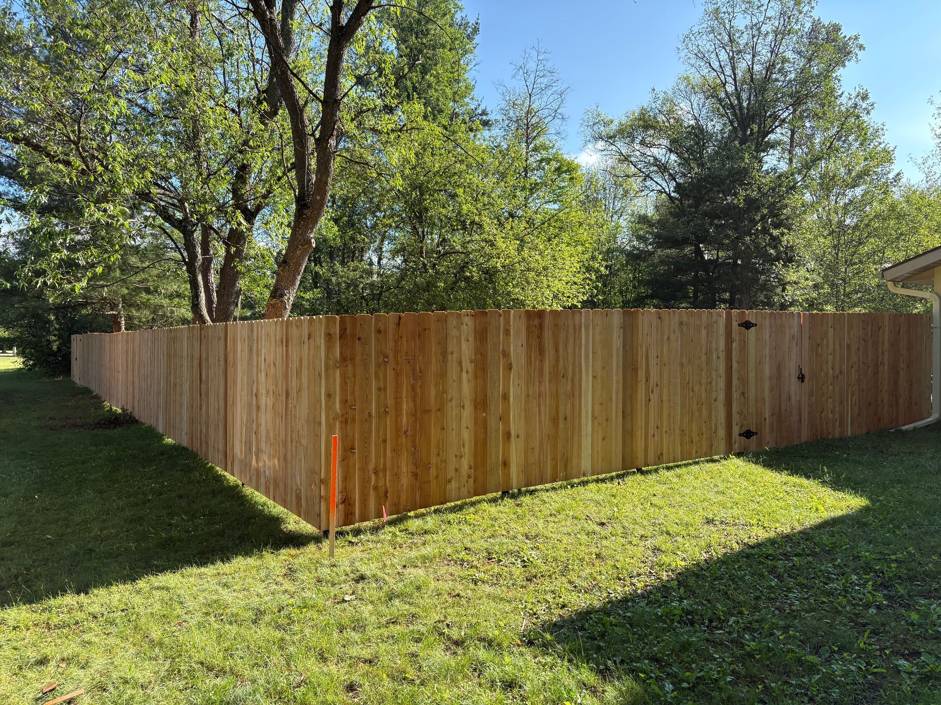 Wooden privacy fence around a grassy yard with trees in the background.