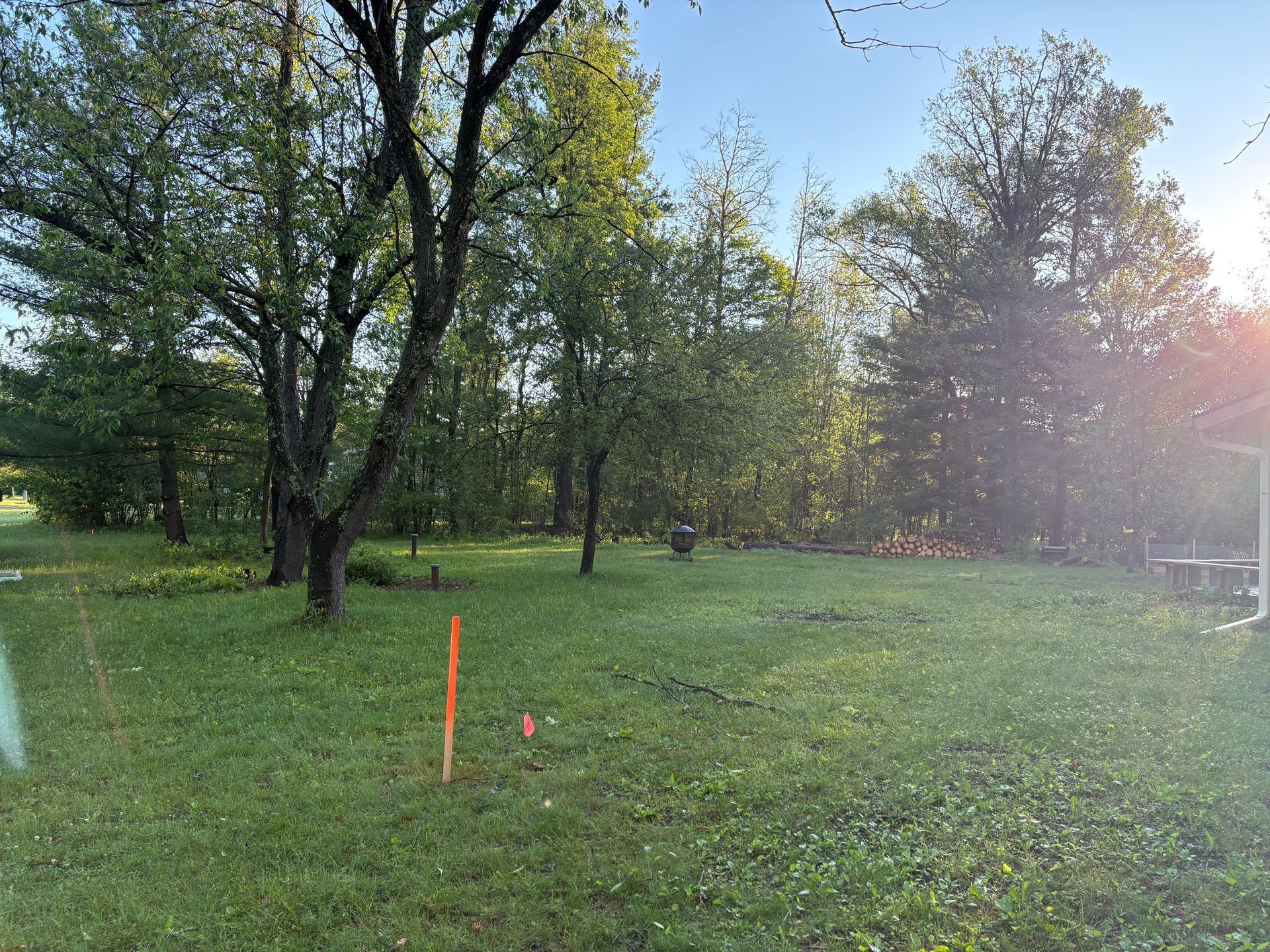 Sunny grassy park with trees, an orange stake, and a pink marker in the foreground