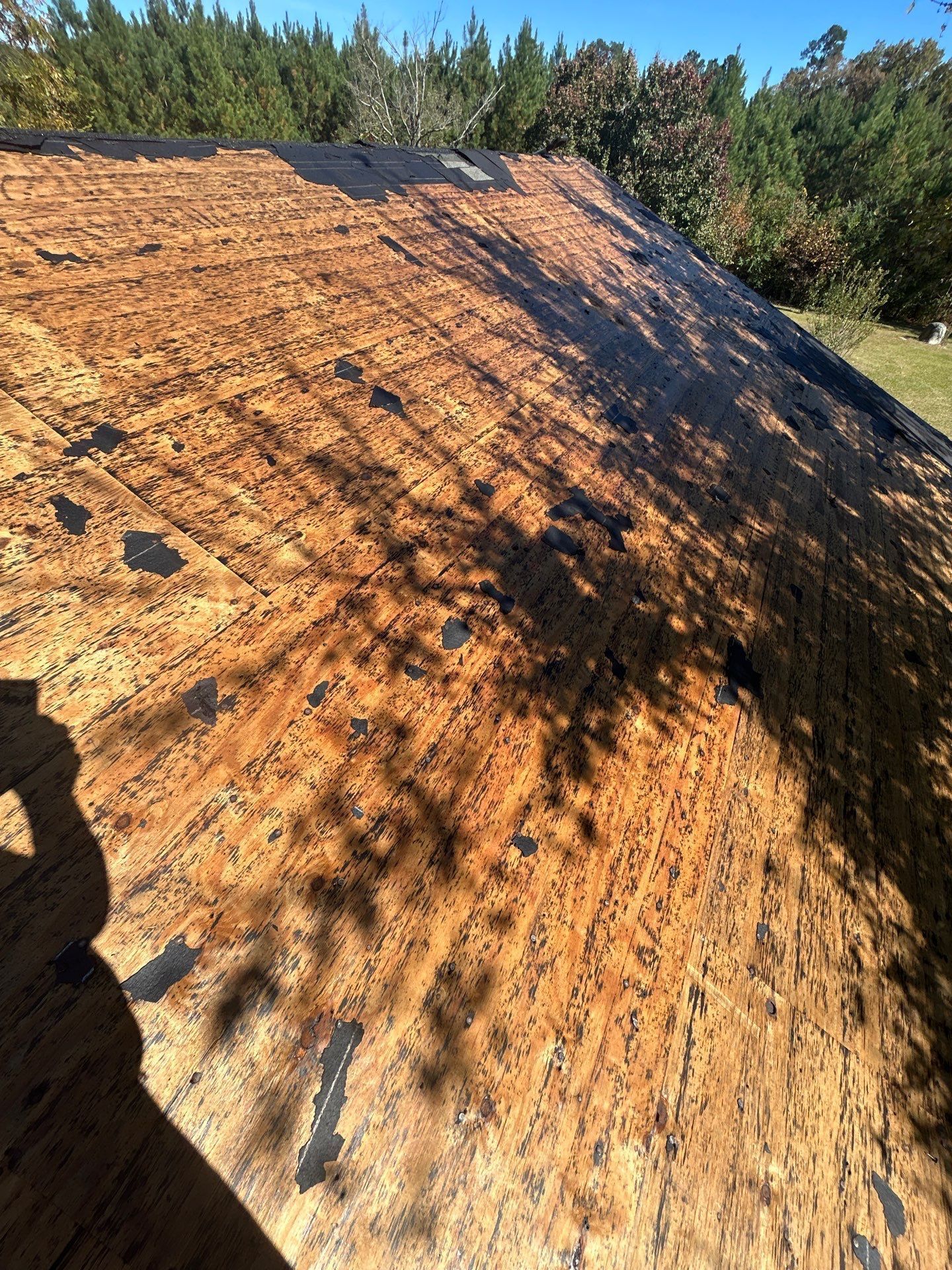 Roof with missing shingles and exposed underlayment under sunlight.