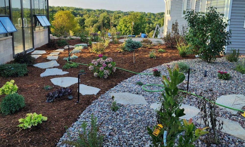 A garden with a lot of plants and rocks in front of a house.