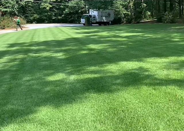 a man is walking on a lush green lawn next to a truck .