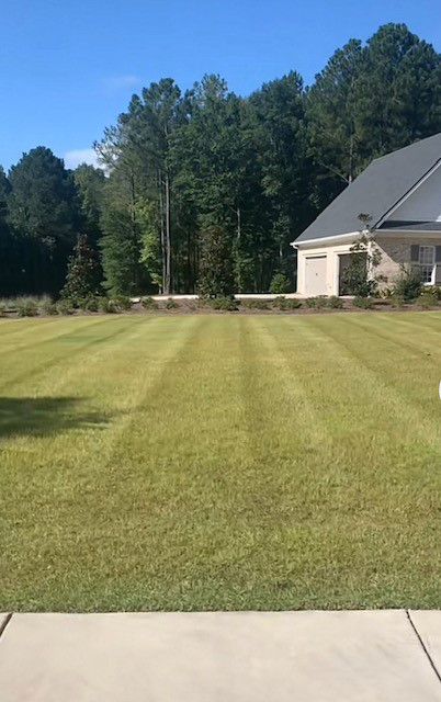a house with a lush green lawn in front of it .