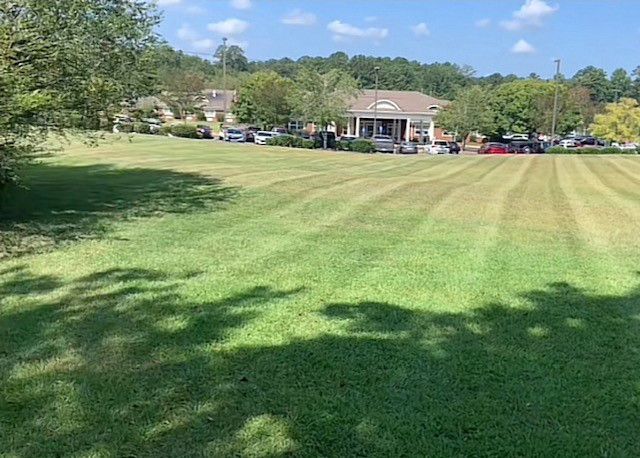 a large lush green field with a house in the background .