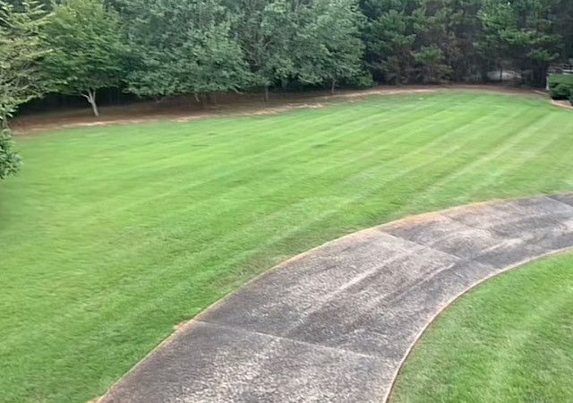 a concrete walkway leading to a large lush green lawn surrounded by trees .