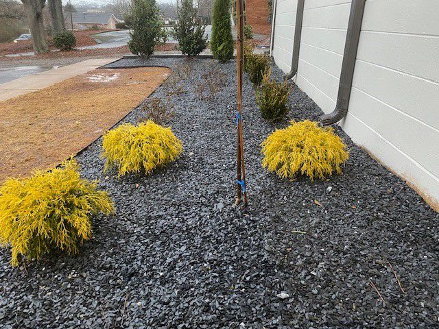 a garden with yellow plants and black gravel in front of a building .