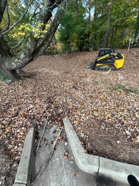 a yellow and black bulldozer is parked in the middle of a lush green forest .