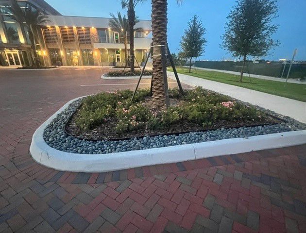 a palm tree is in the middle of a brick driveway in front of a building .