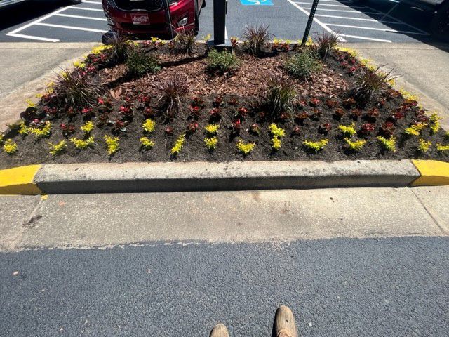 a person is standing in front of a flower bed in a parking lot .