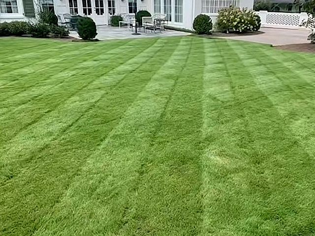 Lawn