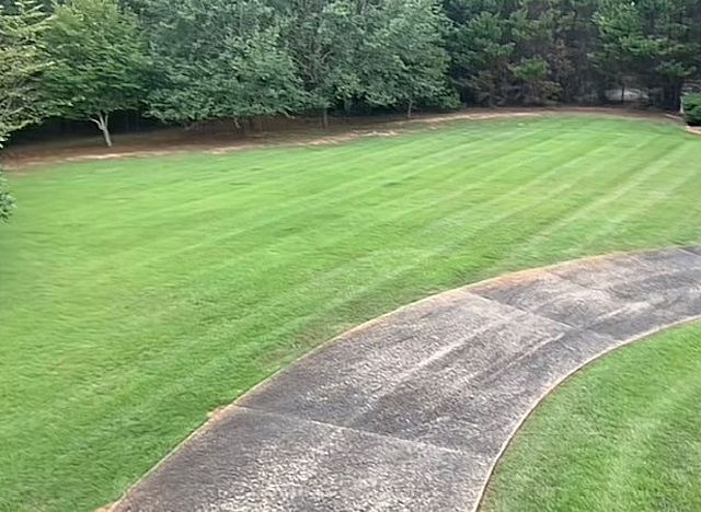 Well maintained lawn