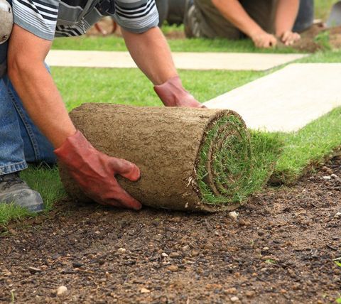 Sod installation