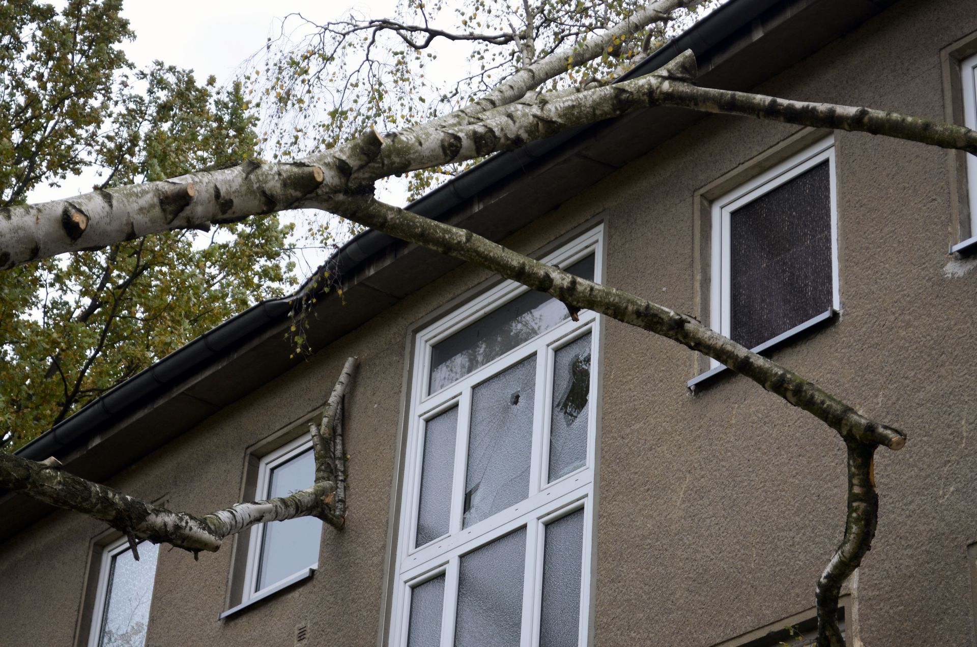 impact windows