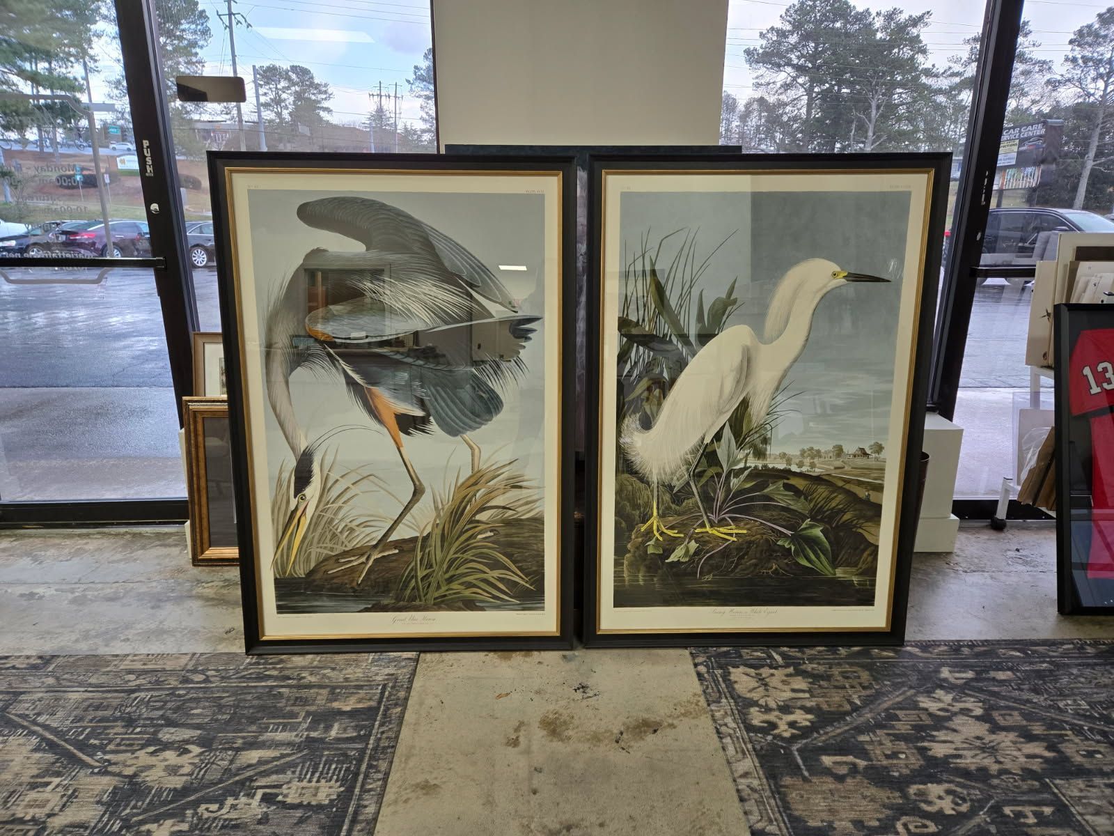 Two framed paintings of birds are sitting on a rug in a room
