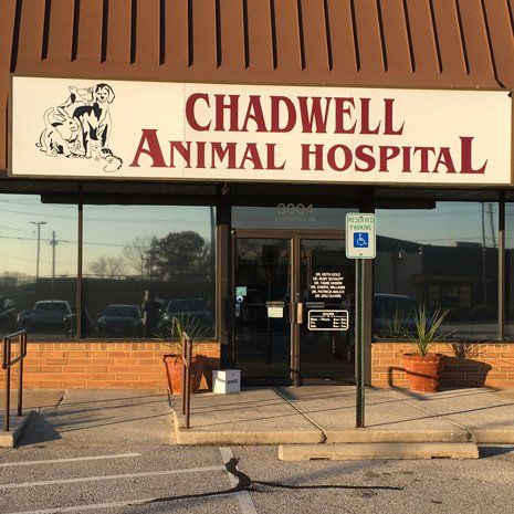 Front entrance to Chadwell Animal Hospital