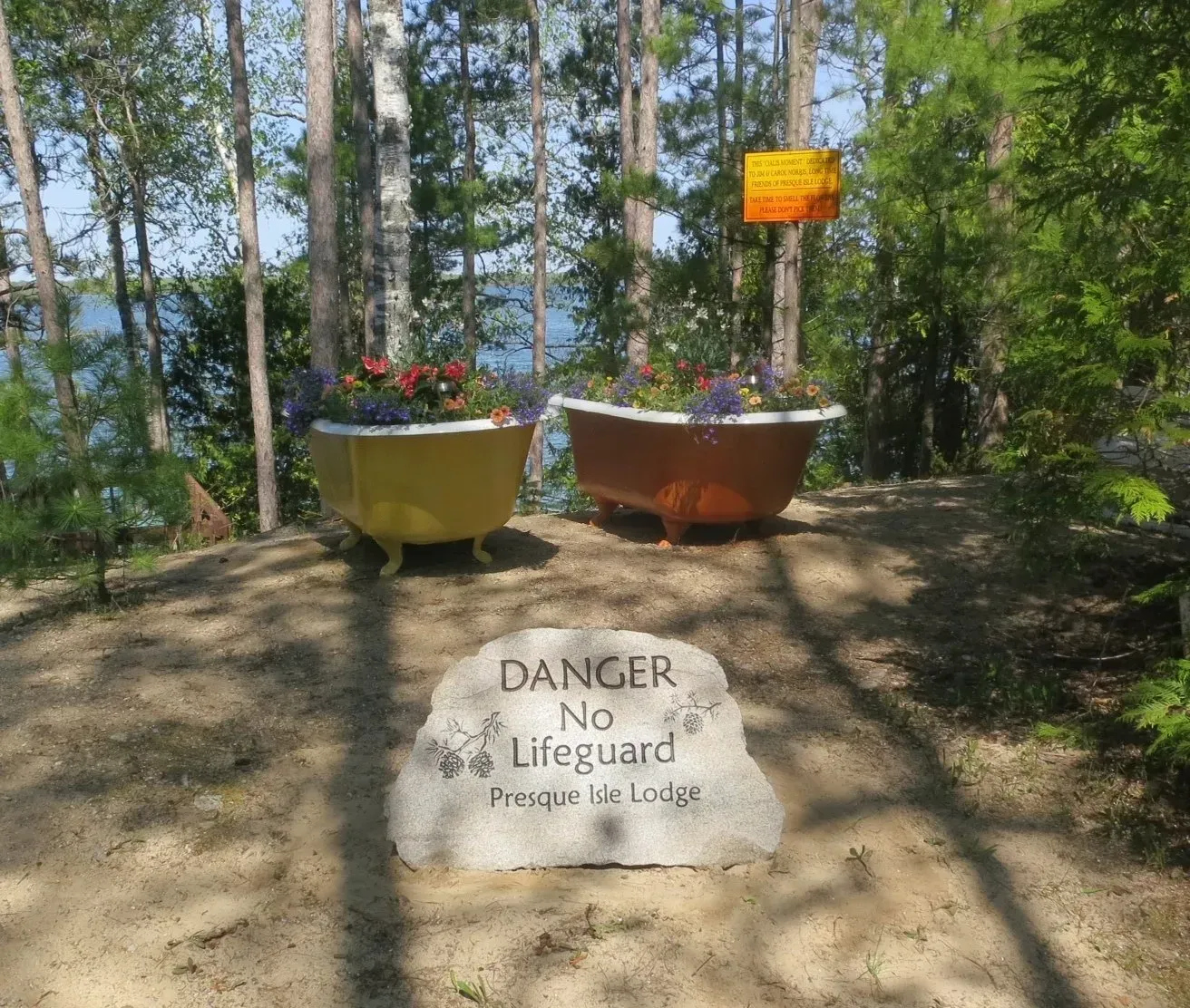 Two bathtubs filled with flowers, a 