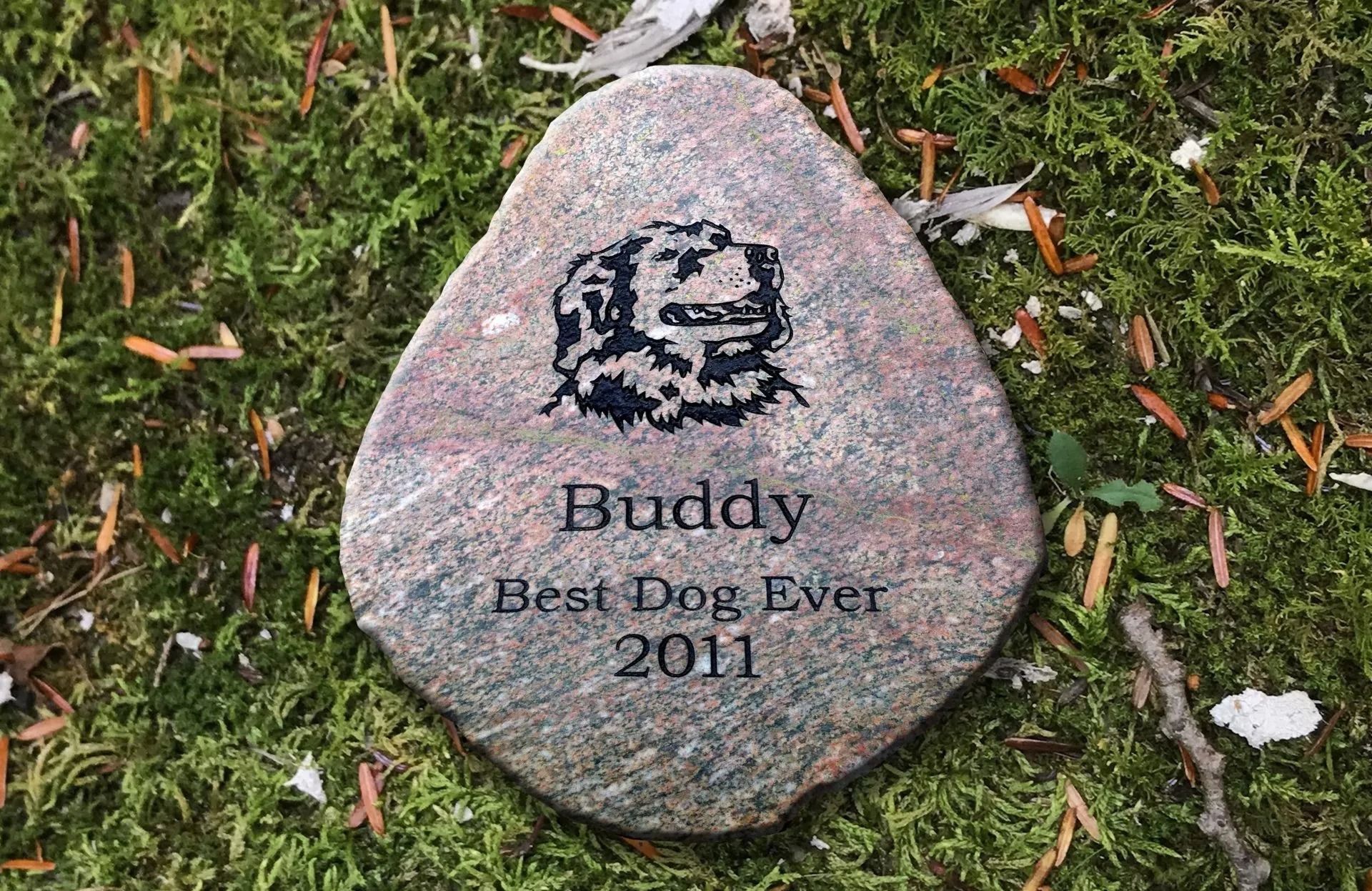 Engraved stone memorial for a dog named Buddy, with his image and the words