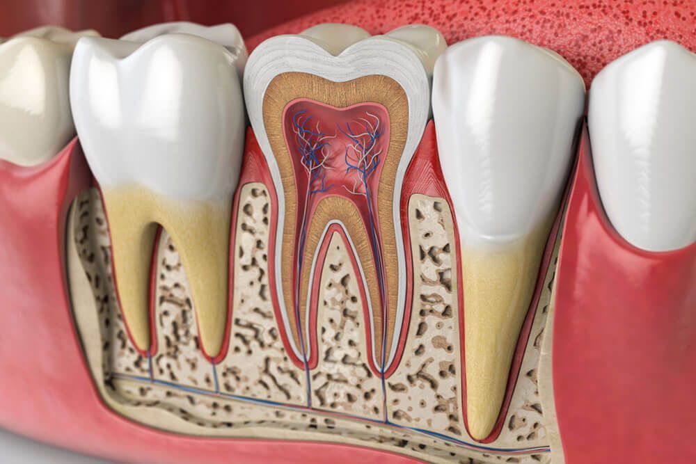 Root Canal Therapies