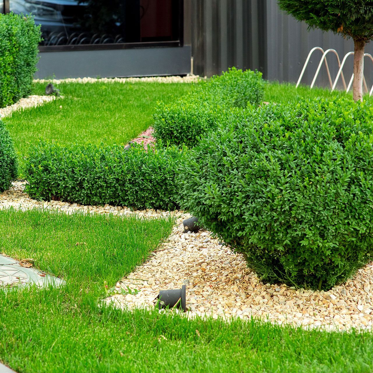 A lush green lawn with a few bushes and gravel.