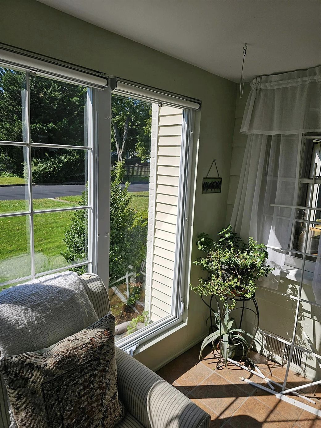 A living room with a couch and a potted plant in front of a window.