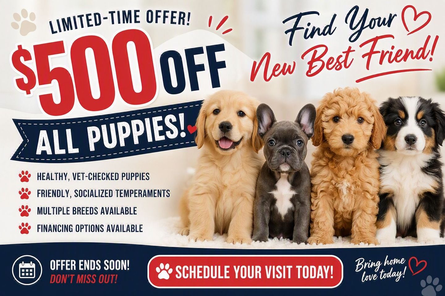 Ad with $500 off on all puppies, and a visit-schedule call to action