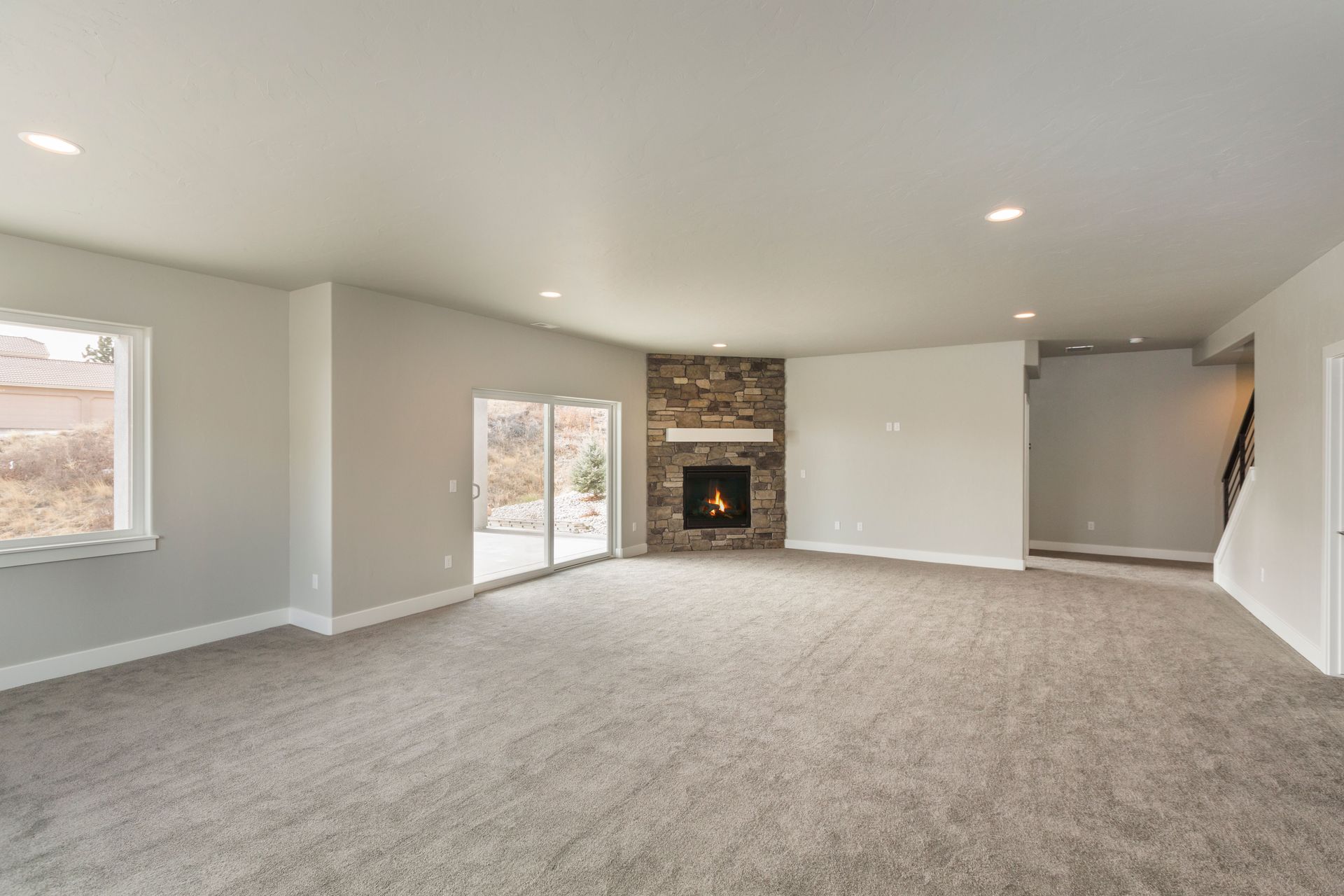 carpet cleaning company