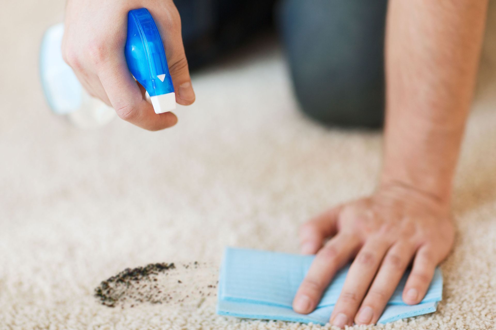 carpet cleaning company