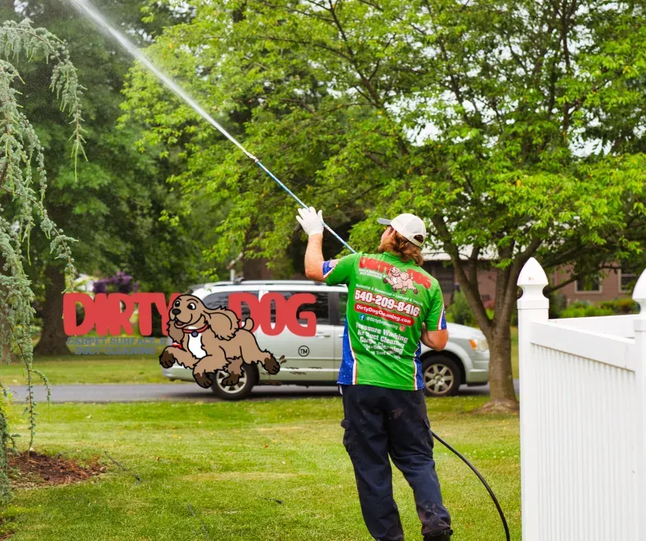 Person spraying water from a hose in a green yard beside a white fence and a truck with a cartoon logo.