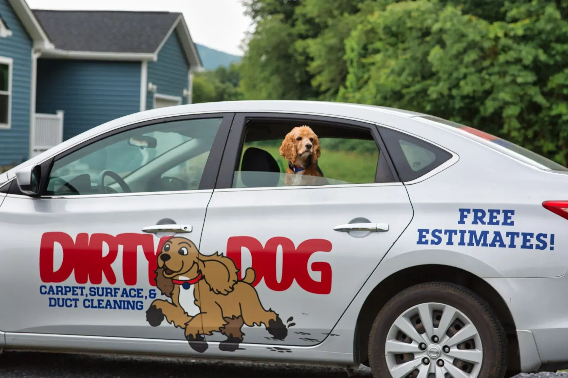 White sedan with Dirty Dog carpet cleaning ad, a dog at the window, and “Free estimates!” text.