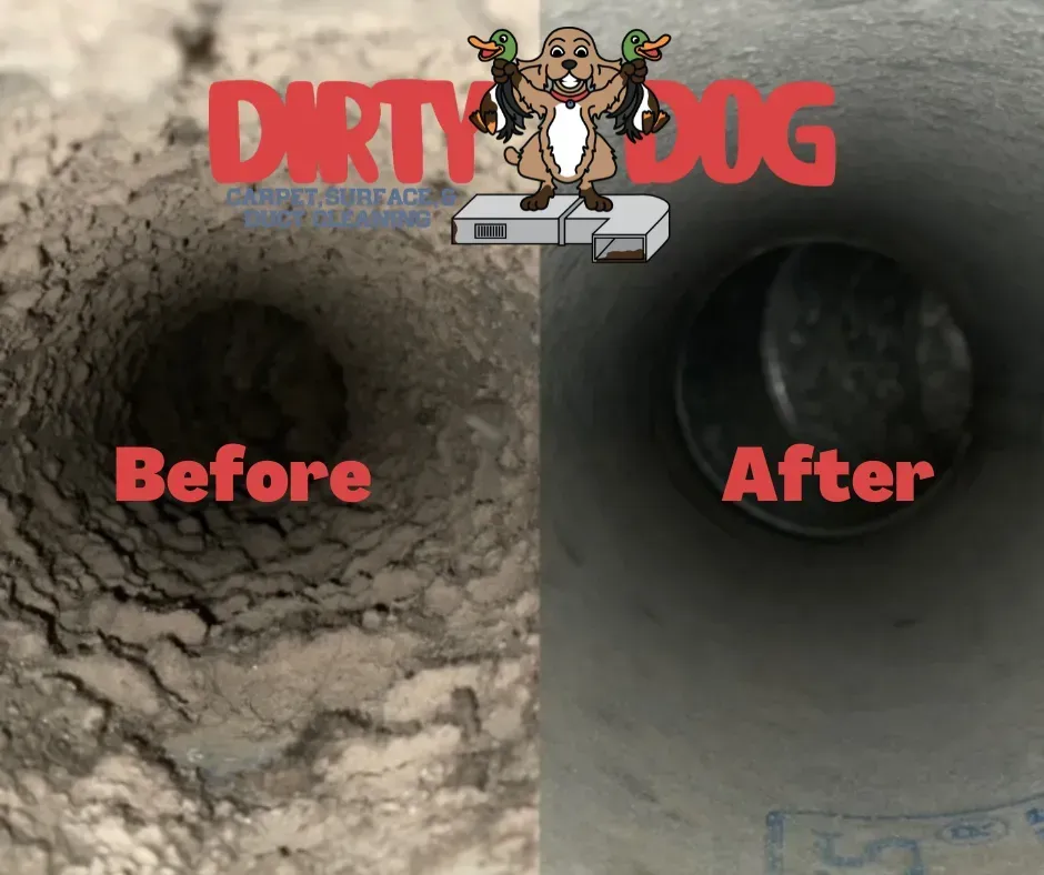 Dirty Dog logo above split before-and-after of a dirty pipe and a cleaned pipe interior.