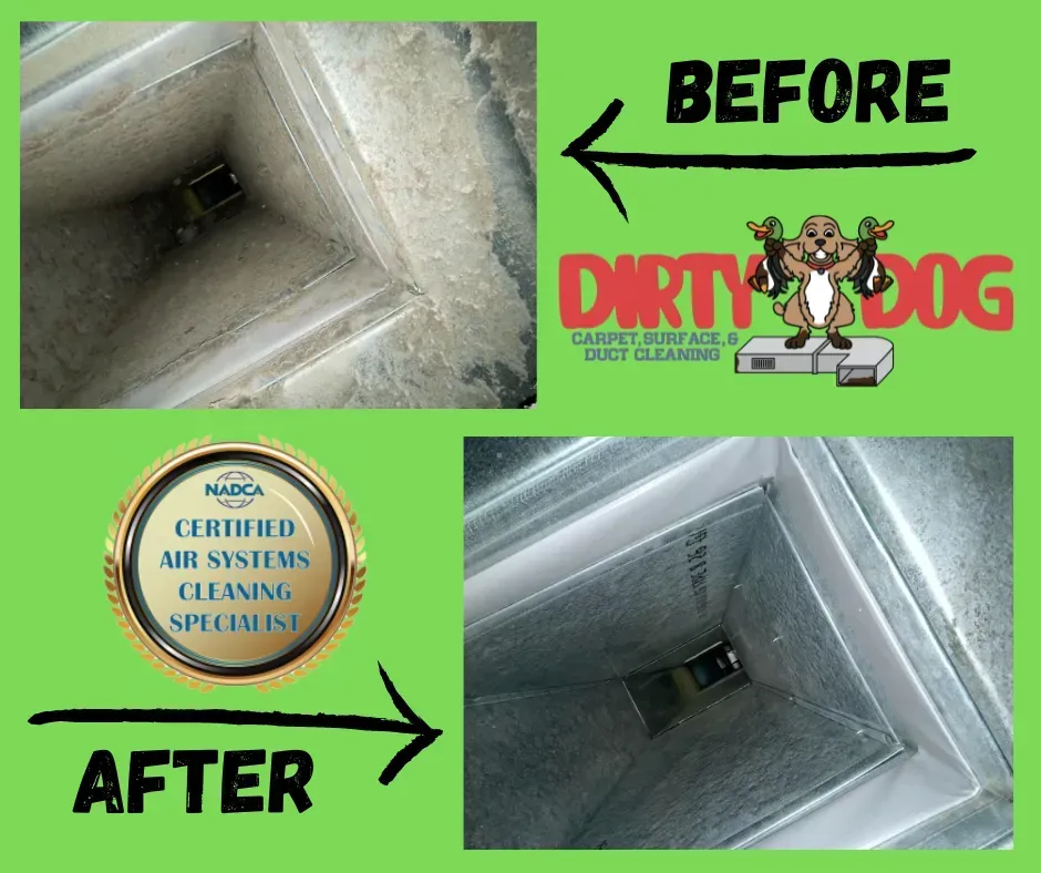 Before-and-after air duct cleaning: dirty duct on top, clean duct on bottom with arrows and “Dirty Dog” logo.
