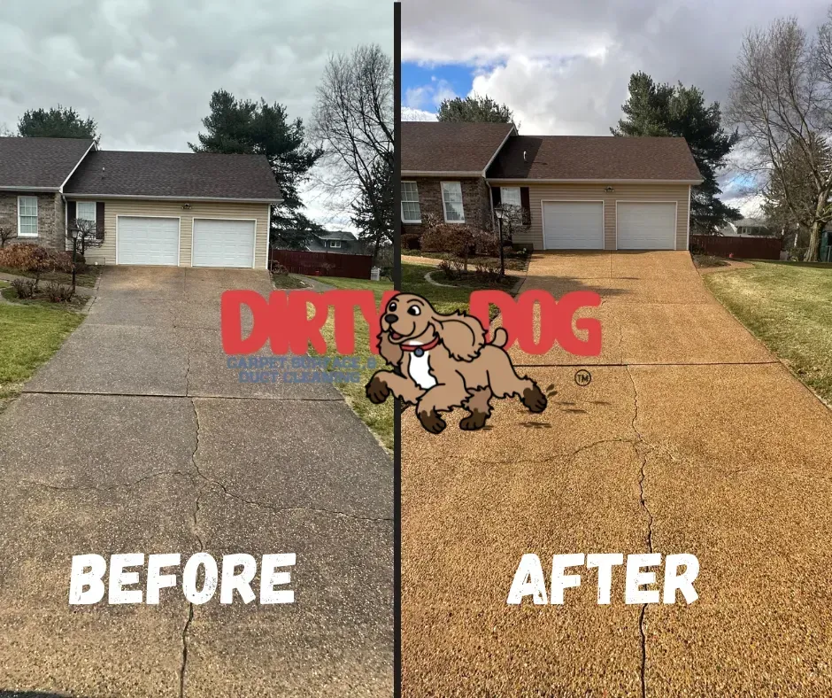 Split before-and-after driveway cleaning on a house, with “DIRTY DOG” over the center.