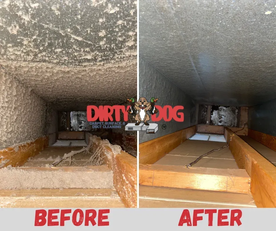 Before-and-after pet duct cleaning: dusty vent shown cleaned and brightened, labeled 