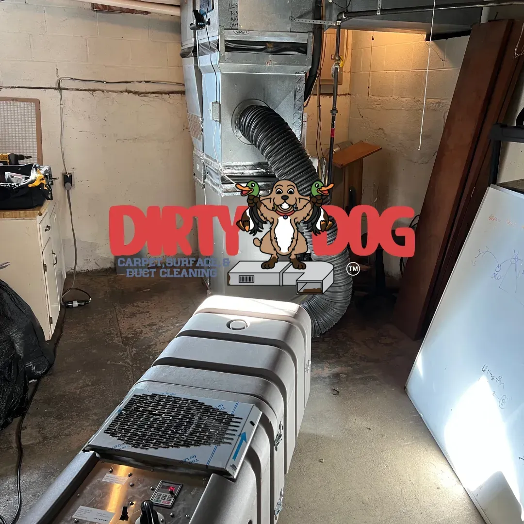 Dirty Dog grooming salon interior with dog grooming tub, dryer hose, and equipment.