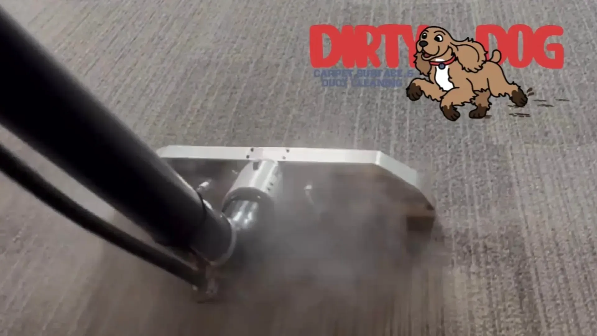 Vacuum cleaner nozzle on gray carpet with visible dust and a red dog logo