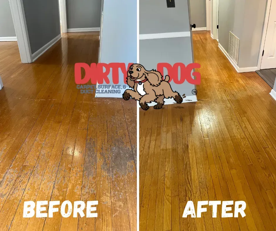 Split-floor hardwood hallway: before shows dull floor, after shows glossy cleaned floor with Dirt Dog logo