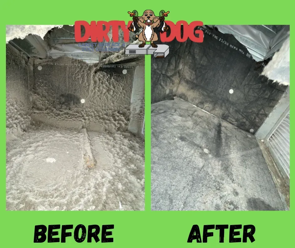 Before-and-after dirt removal in a ceiling/crawl space, labeled “Before” and “After.”