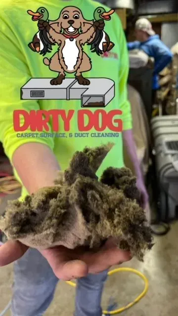 Hand holding a clump of dirty pet fur in front of a green “DIRTY DOG” grooming-style sign.