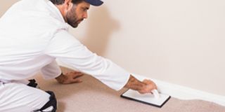 Carpet service