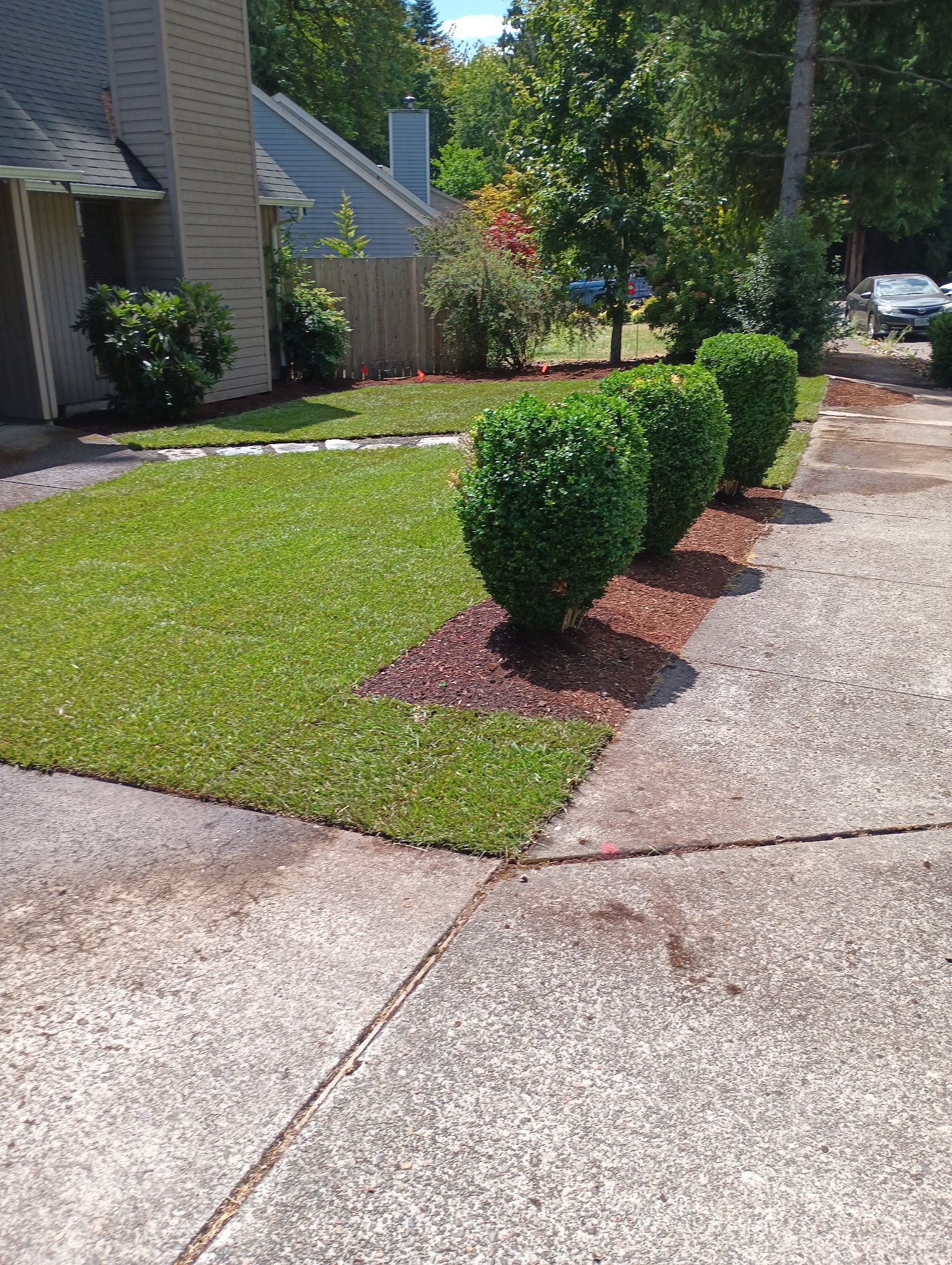Front yard with neatly trimmed shrubs, green lawn, and a concrete walkway beside a house