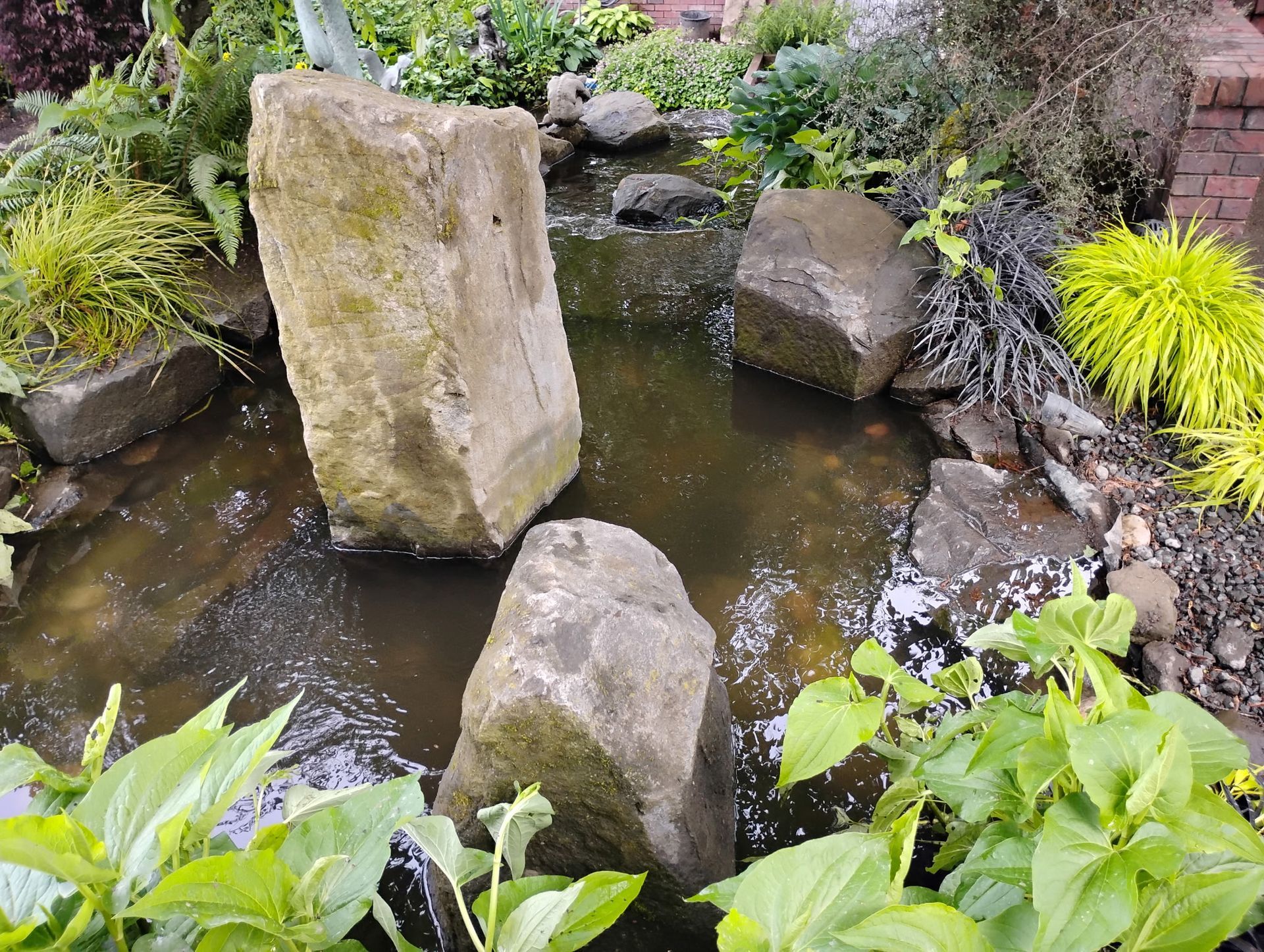 Small garden pond with large stones and bright green plants surrounding the water
