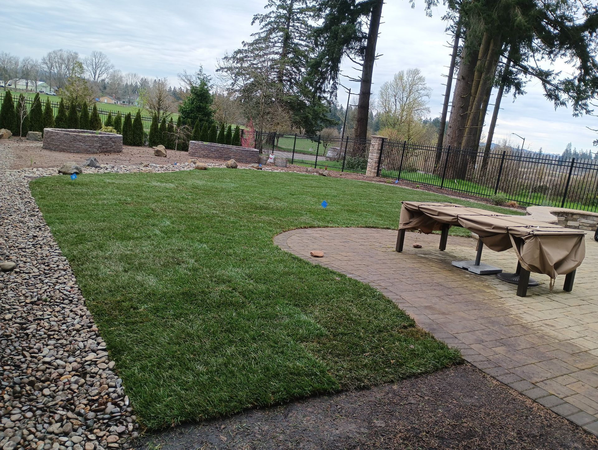 Grassy backyard patio with pavers, stone border, and trees under an overcast sky