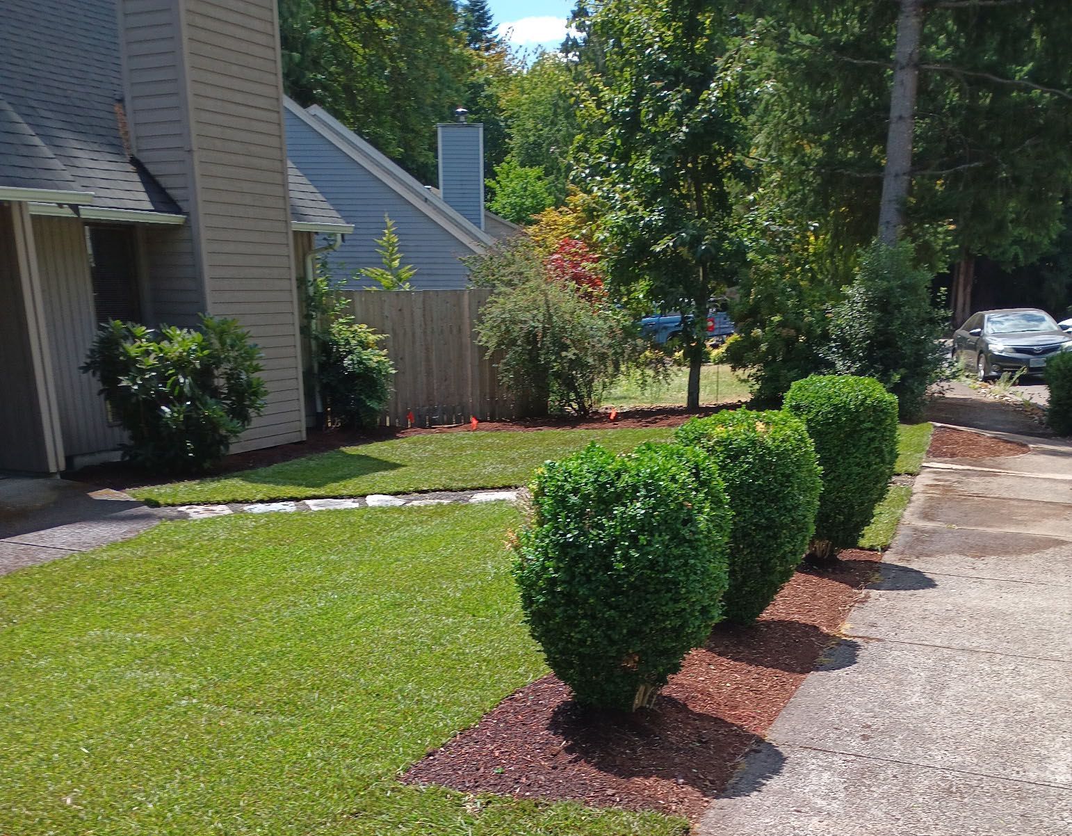 Allscape Landscape Construction