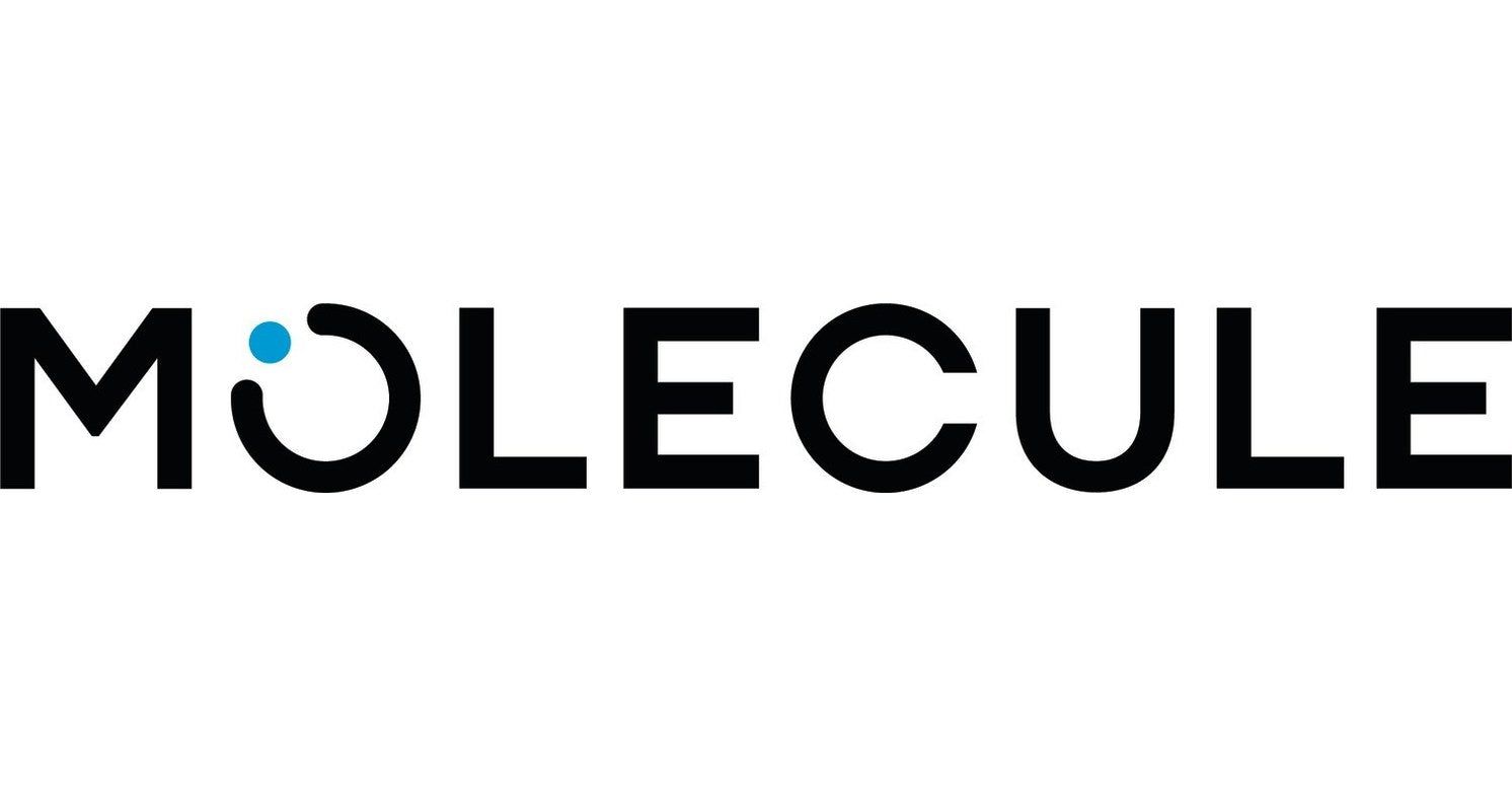 Molecule logo: Black text with a blue dot inside the 