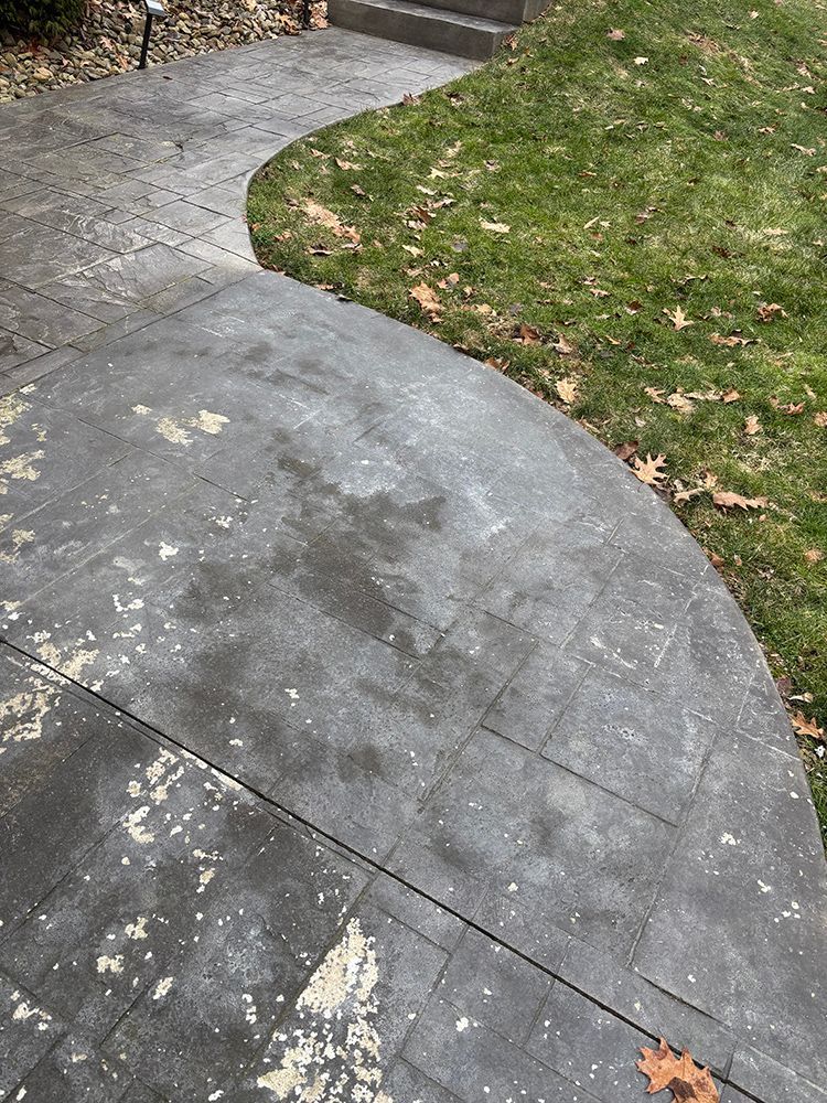 A concrete walkway going through a lush green yard.