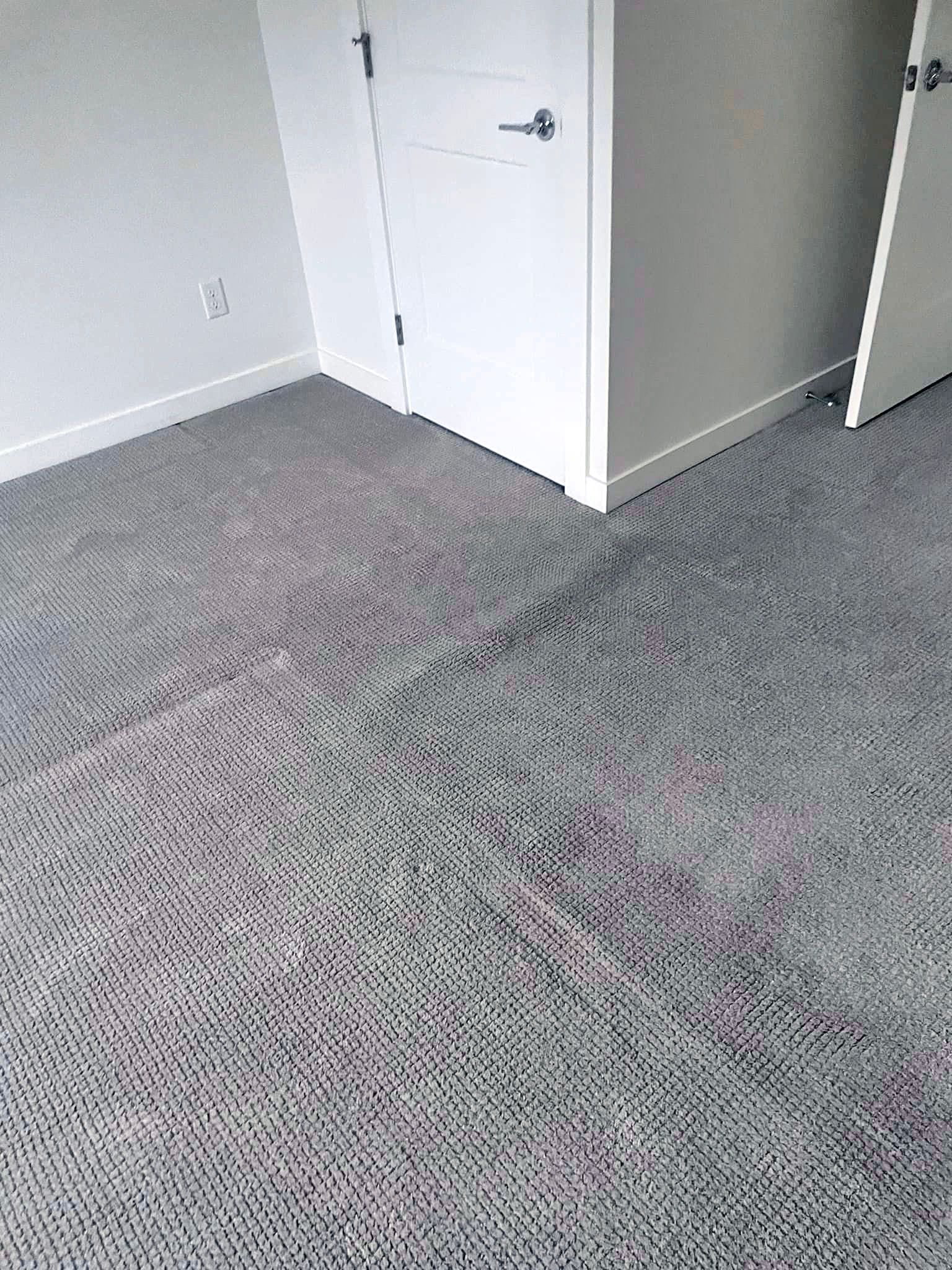 Clean carpet