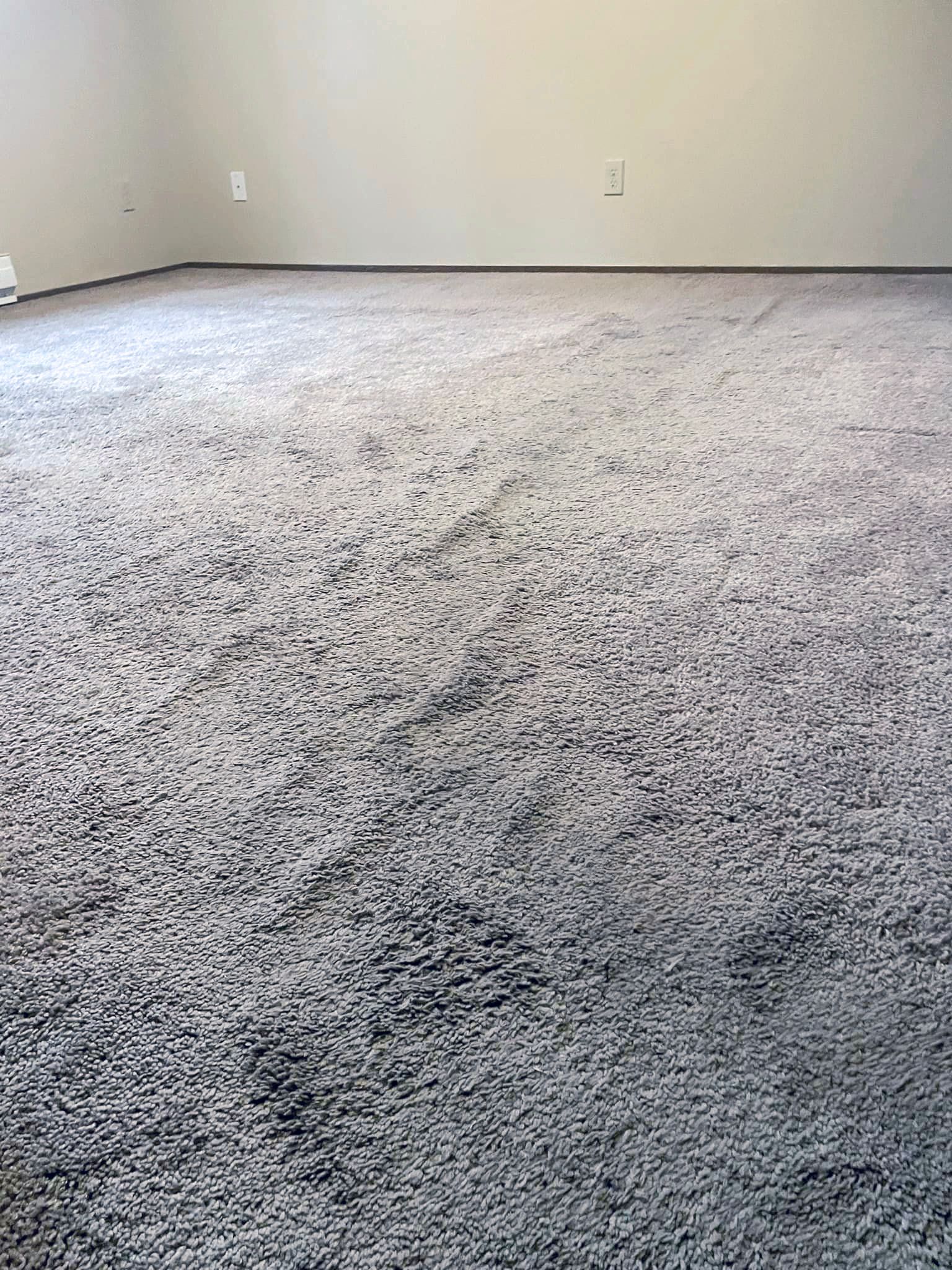 Carpet cleaning