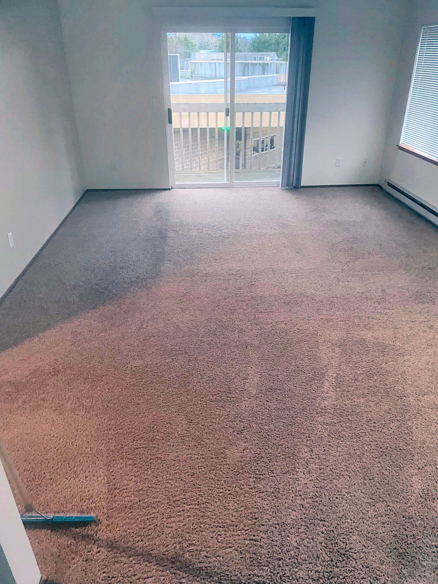 Clean carpet