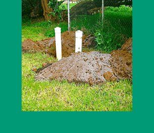 Septic signs
